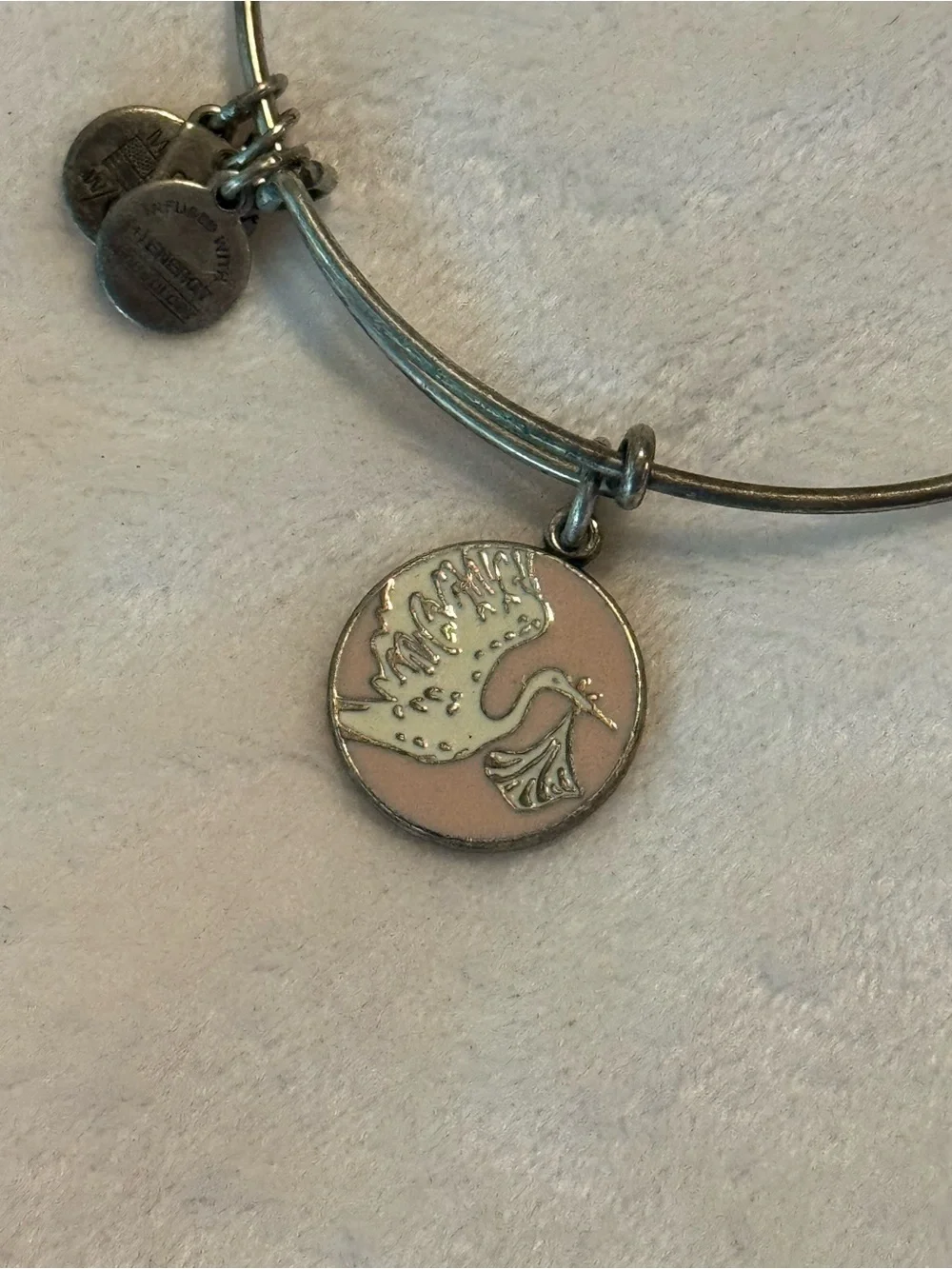 Alex and Ani carry little